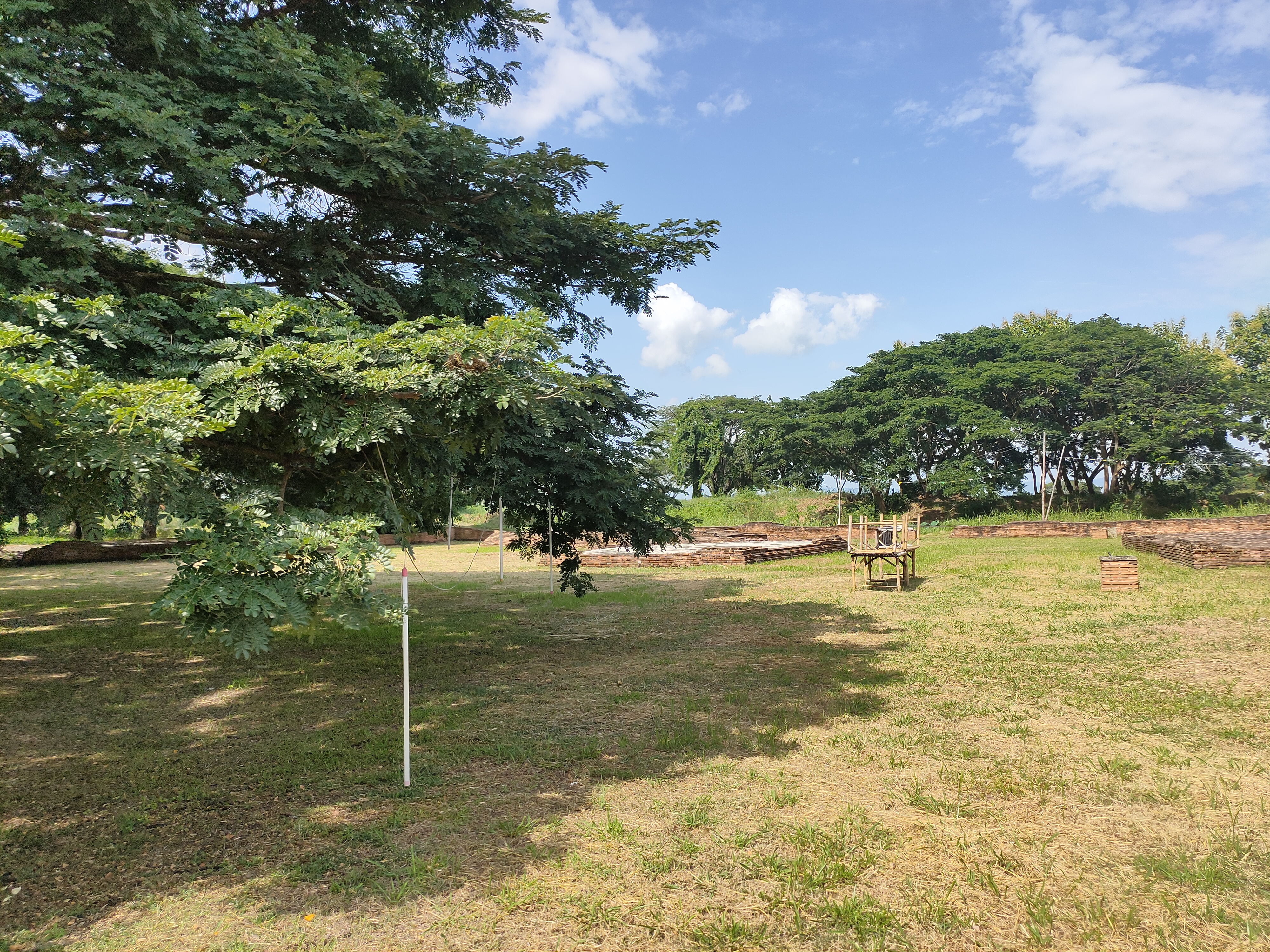 IMG20210807152542 (1)